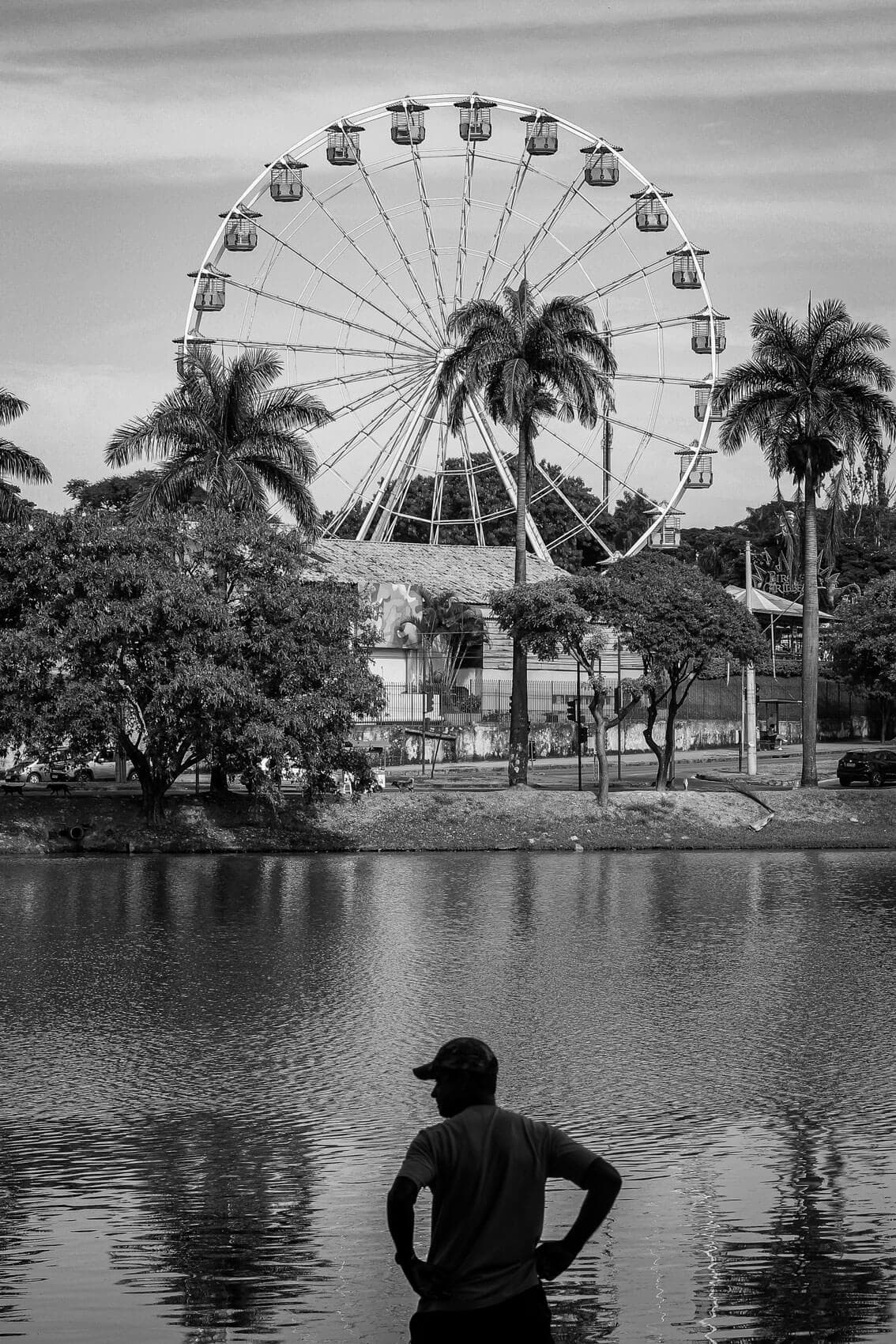 A imagem mostra uma roda gigante ao fundo, Debaixo dela, vemos um conjunto de coqueiros e algumas outras árvores. Logo à frente, há uma lagoa grande. No primeiro plano da imagem tem um homem, visto a contra-luz, que observa a paisagem com as mãos na cintura.